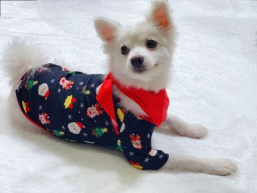 Family Christmas Matching Pajamas Set Christmas Pajamas For Family Christmas PJS Xmas Sleepwear (Option: Picture color-Dog S)